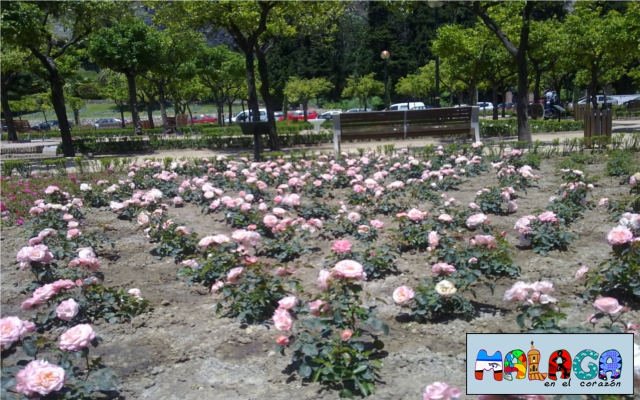 Jardines de Pedro Luis Alonso